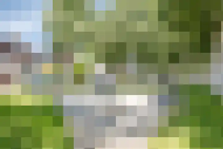 De Goeijenmarke 63 Zwolle thumbnail 33