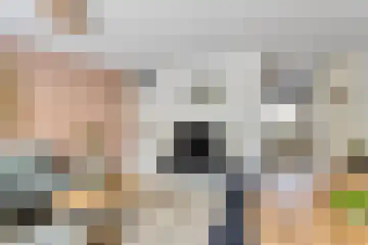 De Goeijenmarke 63 Zwolle thumbnail 6