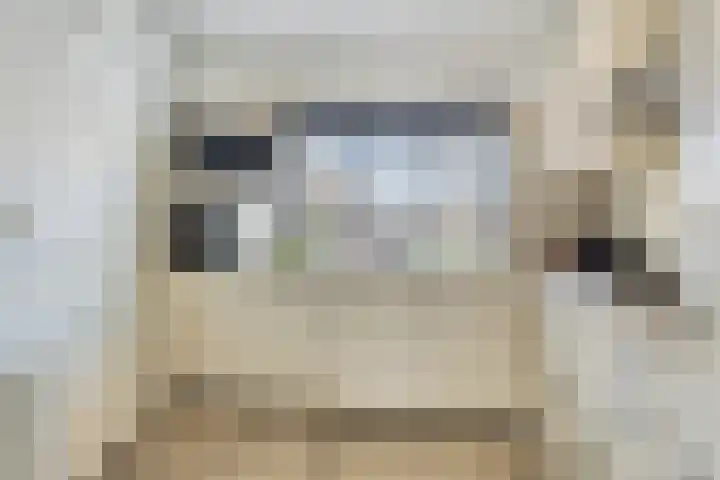 De Goeijenmarke 63 Zwolle thumbnail 7