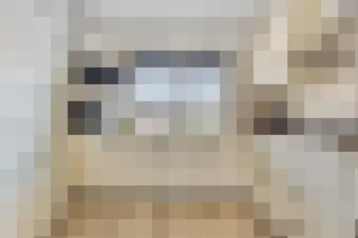 De Goeijenmarke 63 Zwolle thumbnail 8