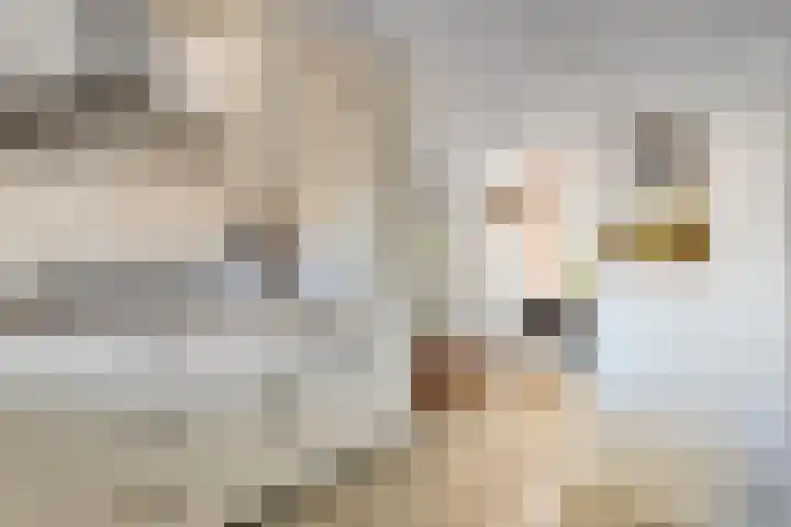 De Goeijenmarke 63 Zwolle thumbnail 9