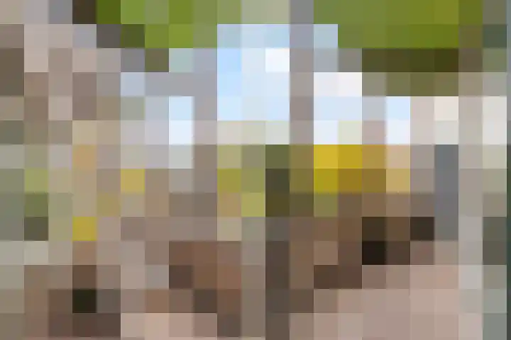 De Goeijenmarke 72 Zwolle thumbnail 12