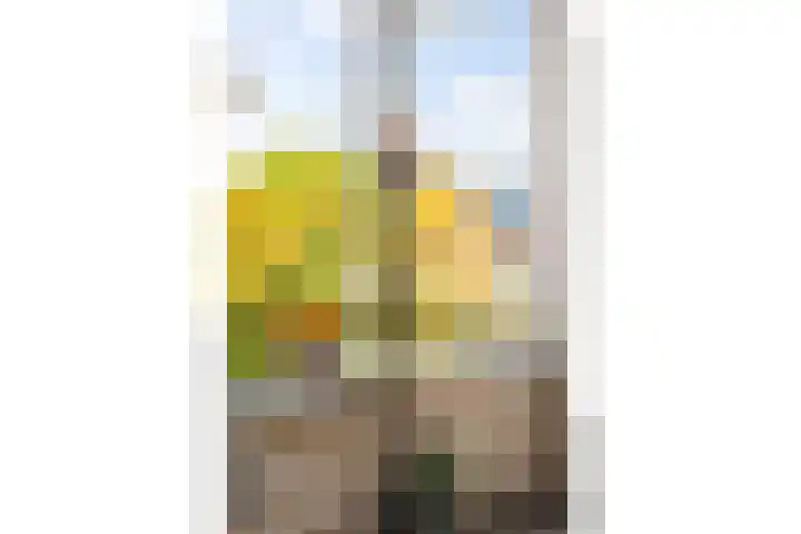 De Goeijenmarke 72 Zwolle thumbnail 13