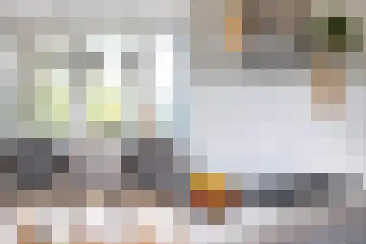 De Goeijenmarke 72 Zwolle thumbnail 15