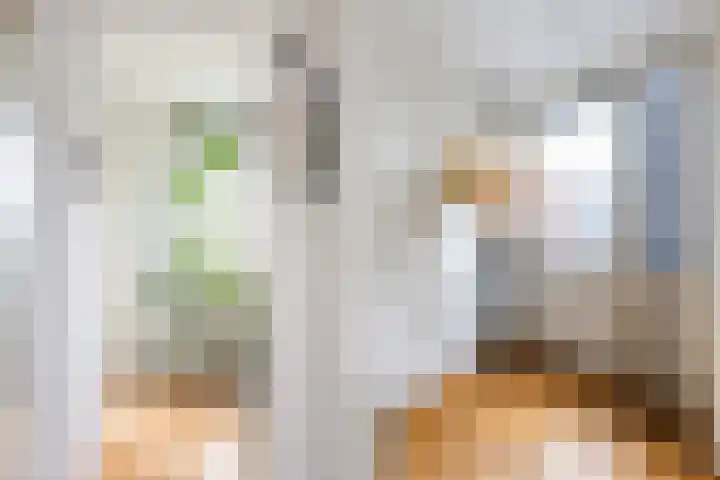 De Goeijenmarke 72 Zwolle thumbnail 20