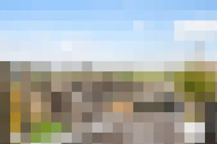 De Goeijenmarke 72 Zwolle thumbnail 28