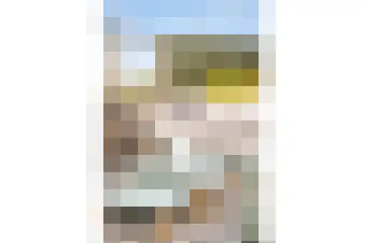De Goeijenmarke 72 Zwolle thumbnail 30