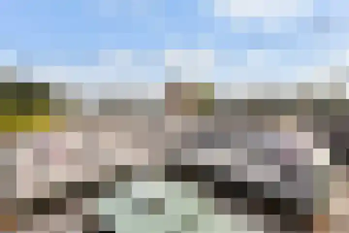De Goeijenmarke 72 Zwolle thumbnail 31