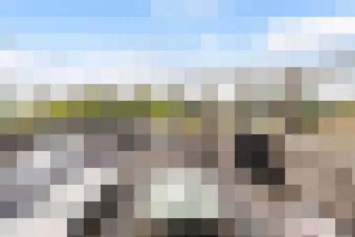 De Goeijenmarke 72 Zwolle thumbnail 32
