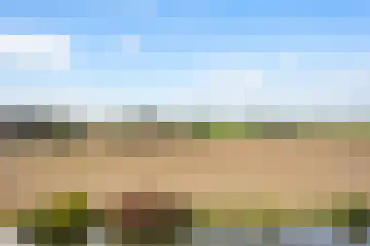 De Goeijenmarke 72 Zwolle thumbnail 33