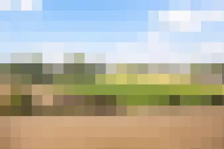 De Goeijenmarke 72 Zwolle thumbnail 34