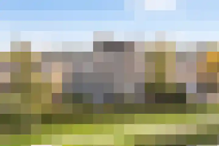 De Goeijenmarke 72 Zwolle thumbnail 35