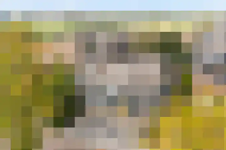 De Goeijenmarke 72 Zwolle thumbnail 4