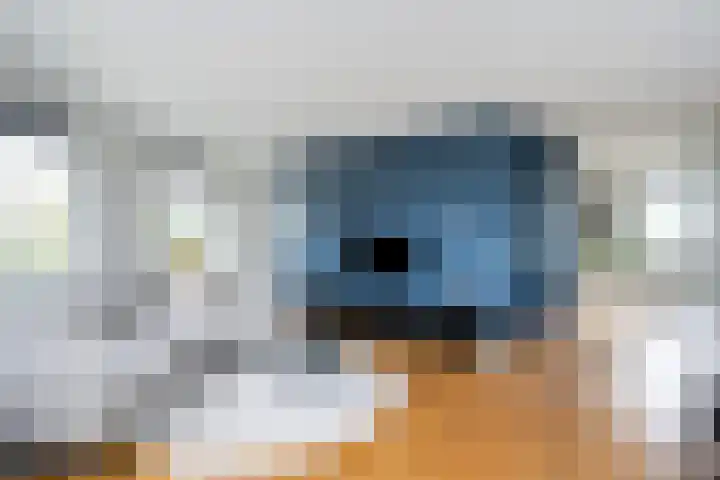 De Goeijenmarke 72 Zwolle thumbnail 7
