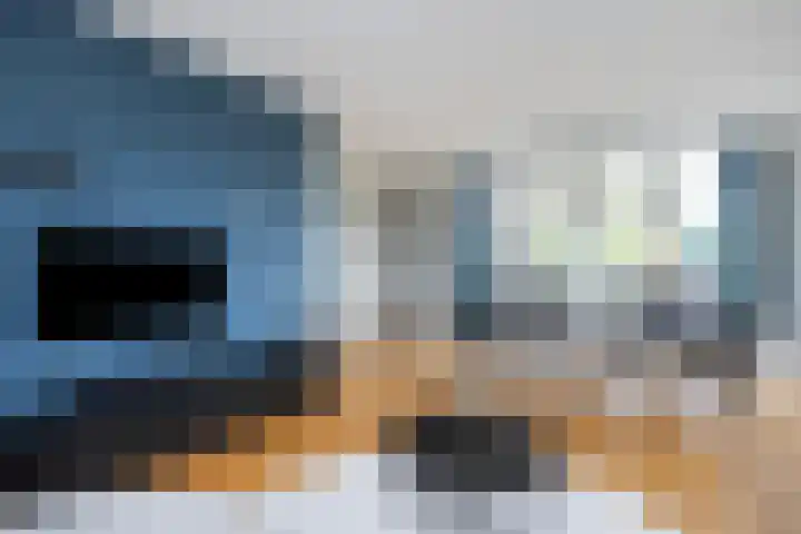 De Goeijenmarke 72 Zwolle thumbnail 9