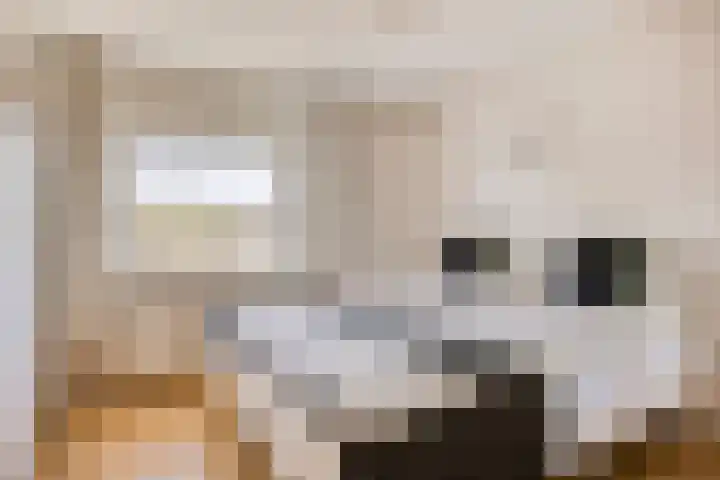 De Goeijenmarke 82 Zwolle thumbnail 13