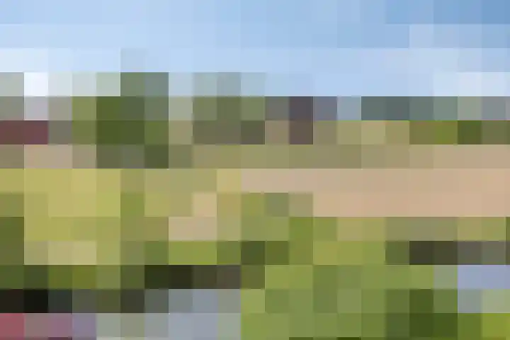 De Goeijenmarke 82 Zwolle thumbnail 25