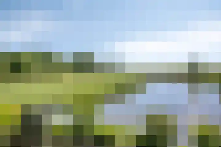 De Goeijenmarke 82 Zwolle thumbnail 26
