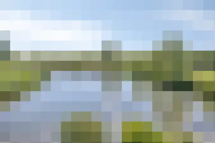 De Goeijenmarke 82 Zwolle thumbnail 27