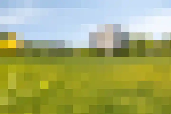 De Goeijenmarke 82 Zwolle thumbnail 30