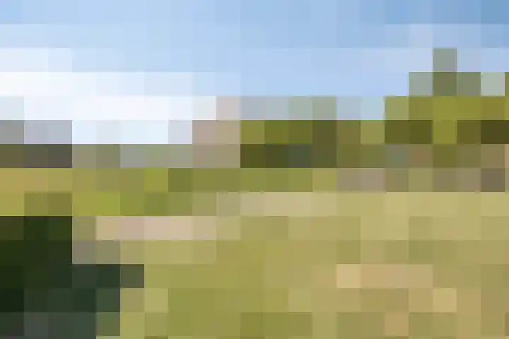 De Goeijenmarke 82 Zwolle thumbnail 31