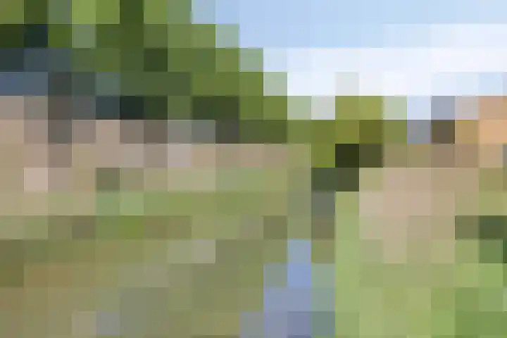 De Goeijenmarke 82 Zwolle thumbnail 32