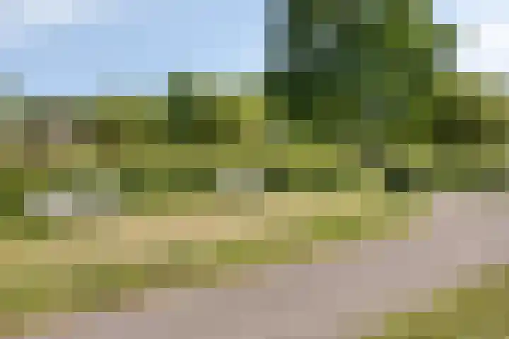 De Goeijenmarke 82 Zwolle thumbnail 34