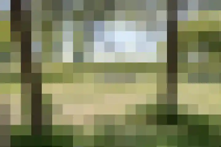 De Goeijenmarke 82 Zwolle thumbnail 35