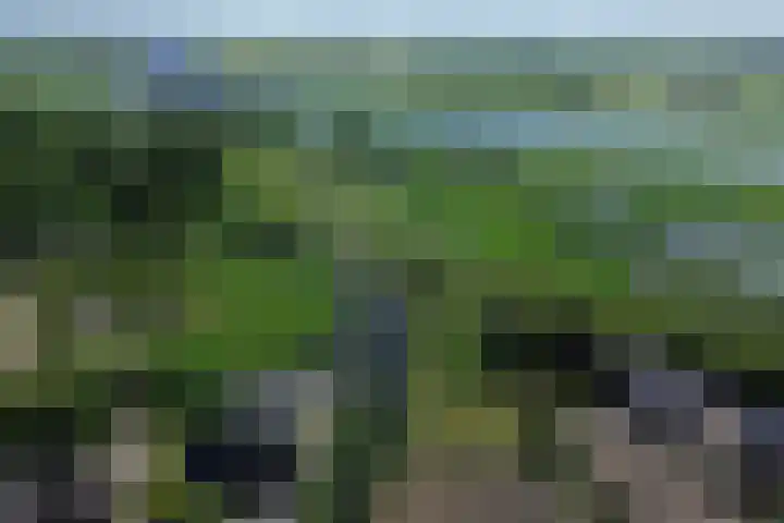 De Goeijenmarke 82 Zwolle thumbnail 36