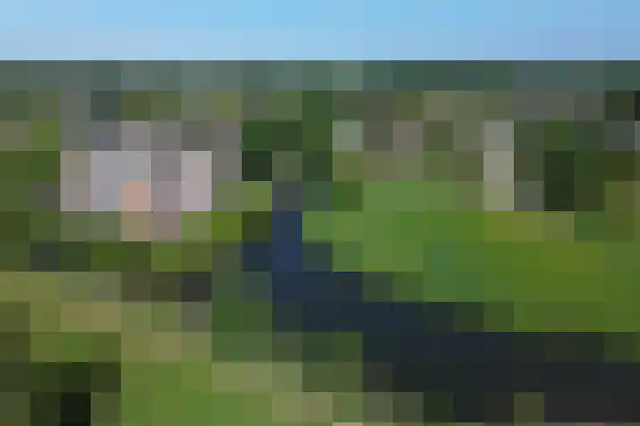 De Goeijenmarke 82 Zwolle thumbnail 37
