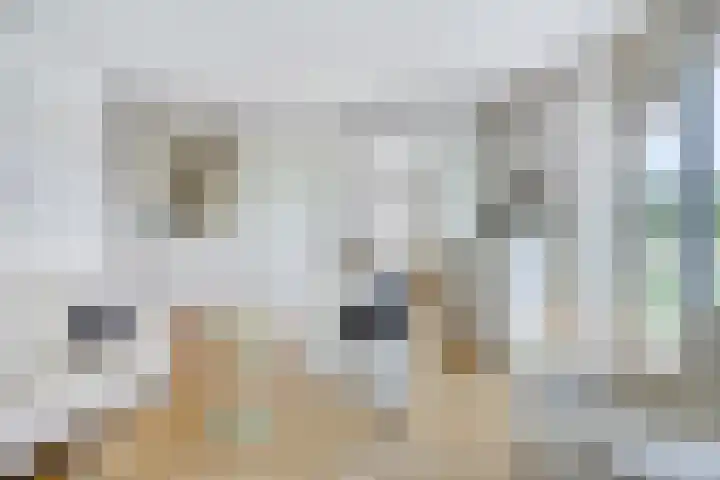 De Goeijenmarke 82 Zwolle thumbnail 5
