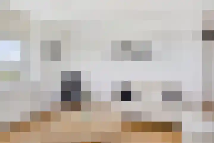 De Goeijenmarke 82 Zwolle thumbnail 6