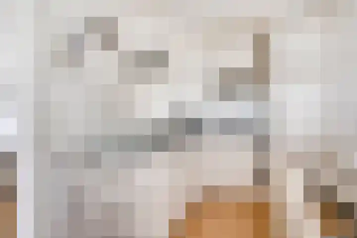 De Goeijenmarke 82 Zwolle thumbnail 8