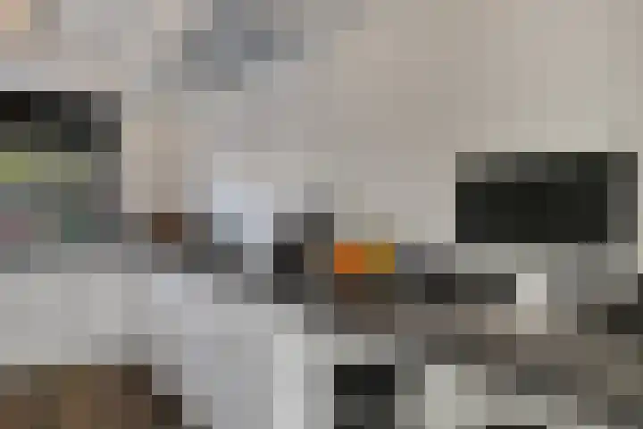 De Goeijenmarke 87 Zwolle thumbnail 14