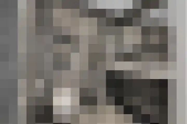 De Goeijenmarke 87 Zwolle thumbnail 27