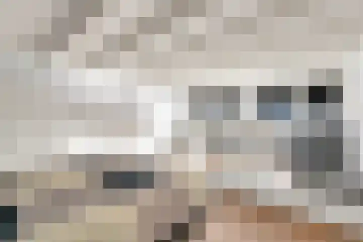 De Goeijenmarke 87 Zwolle thumbnail 31