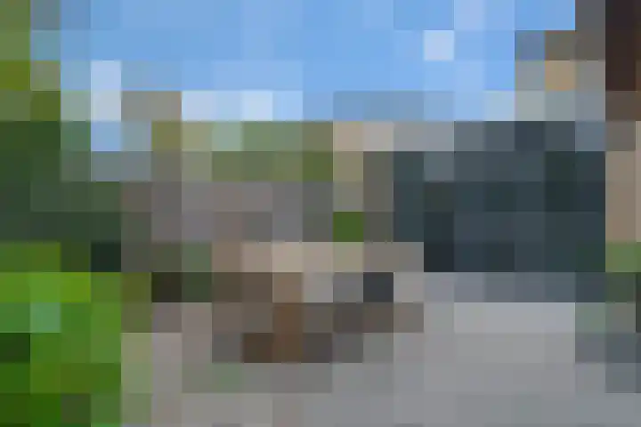 De Goeijenmarke 87 Zwolle thumbnail 33