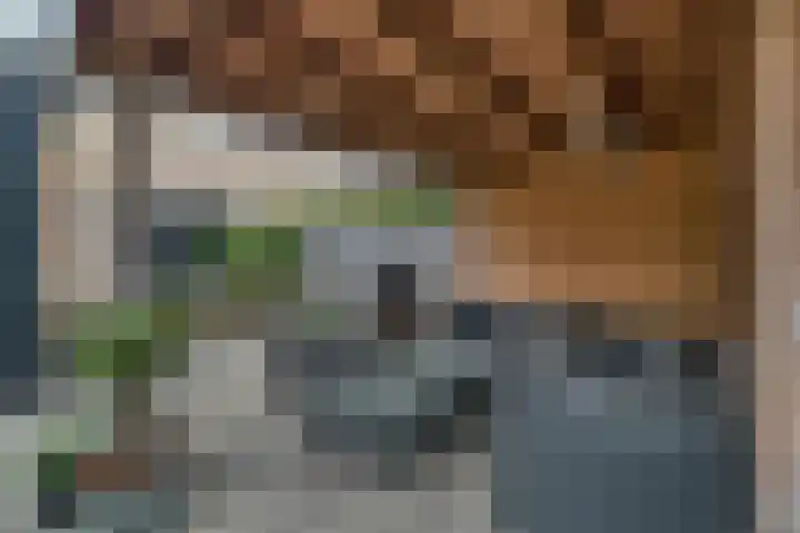 De Goeijenmarke 87 Zwolle thumbnail 34