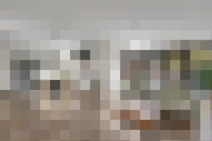 De Goeijenmarke 87 Zwolle thumbnail 6