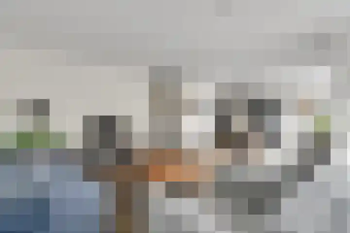De Goeijenmarke 87 Zwolle thumbnail 7