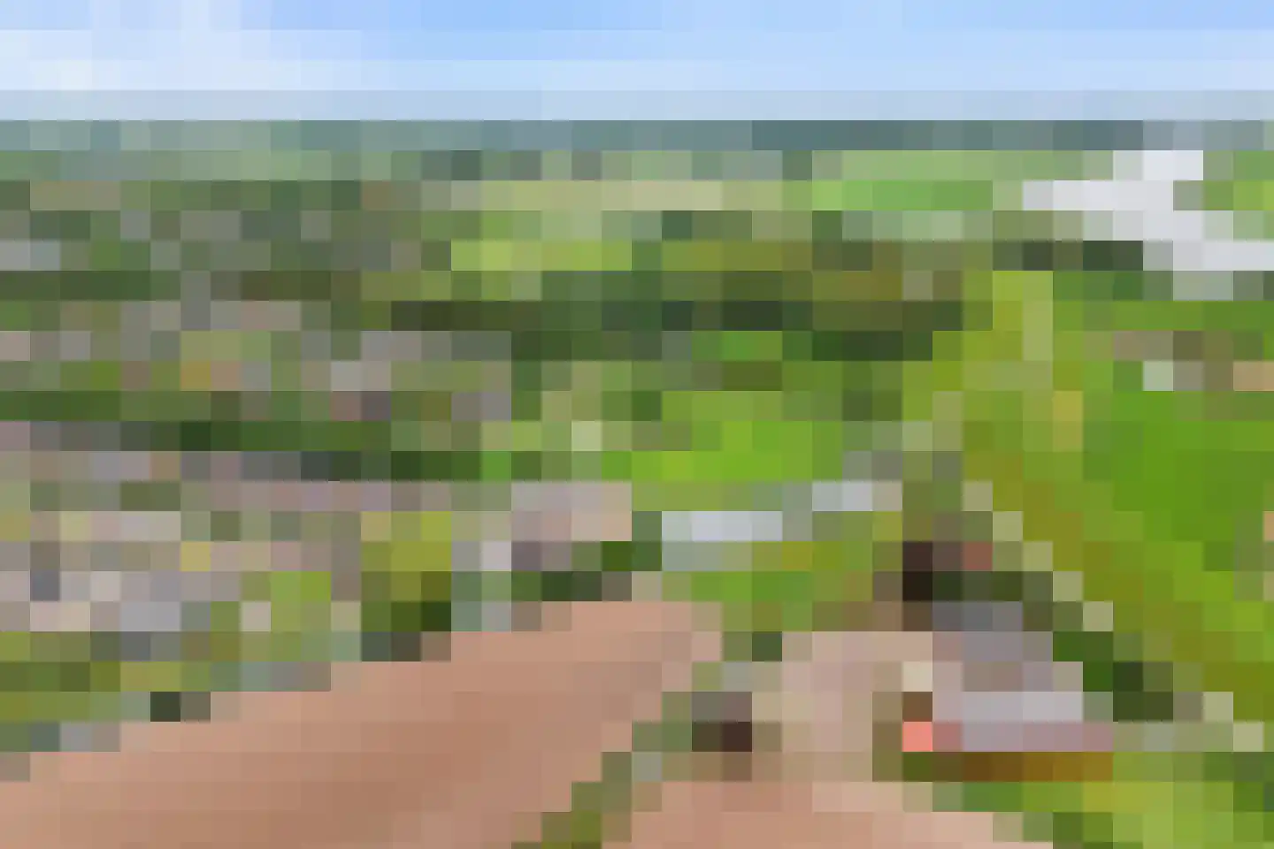 De Goeijenmarke 98 Zwolle thumbnail 30