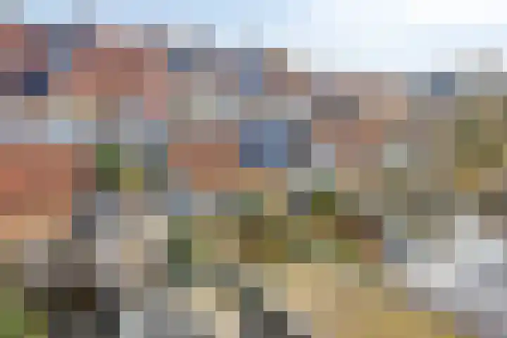 De Goejestraat 36 Leiden thumbnail 38