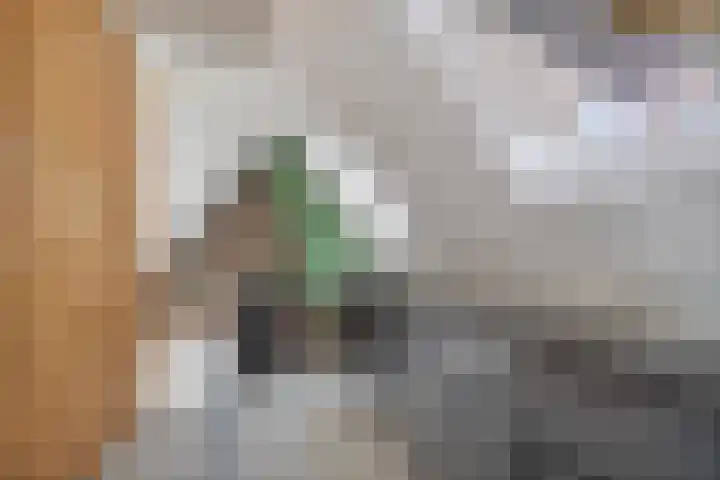 De Goejestraat 59 Leiden thumbnail 18