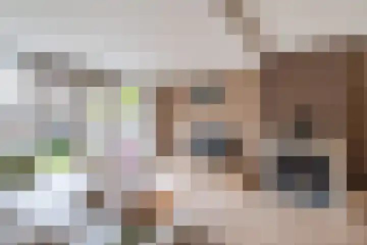 De Golle 1 Mantgum thumbnail 16