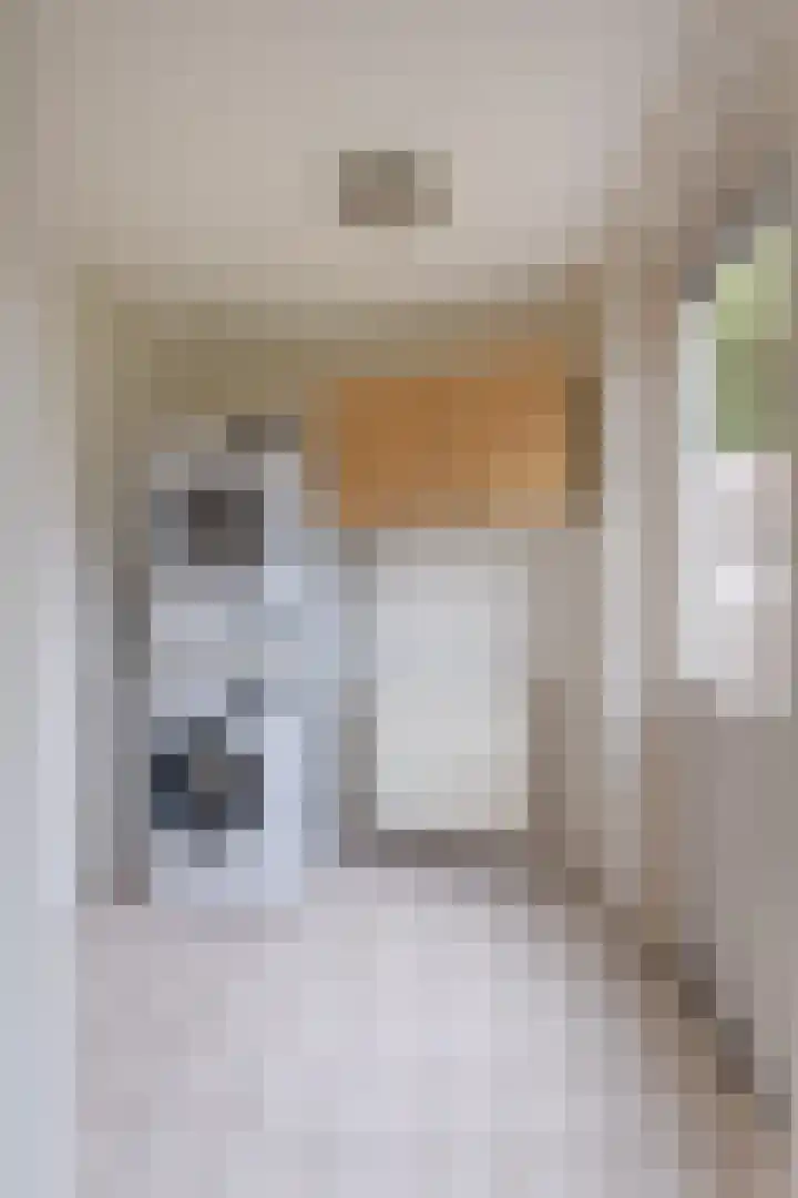 De Golle 1 Mantgum thumbnail 29
