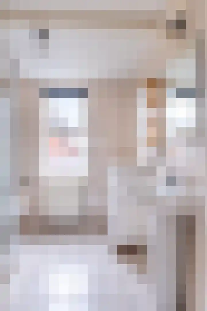 De Golle 1 Mantgum thumbnail 53
