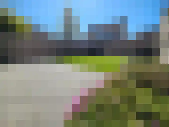 De Golle 1 Mantgum thumbnail 57
