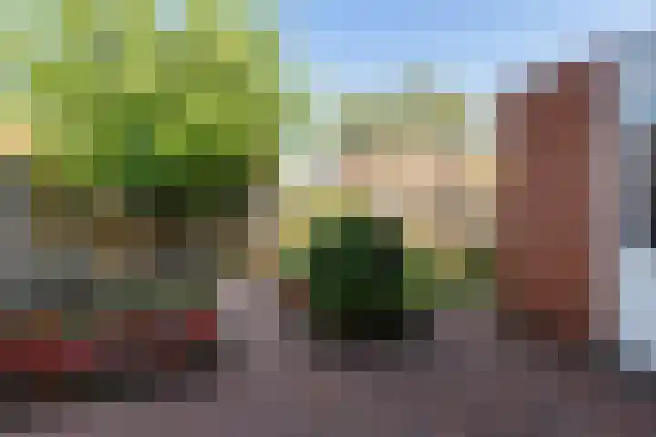 De Golle 14 Mantgum thumbnail 11