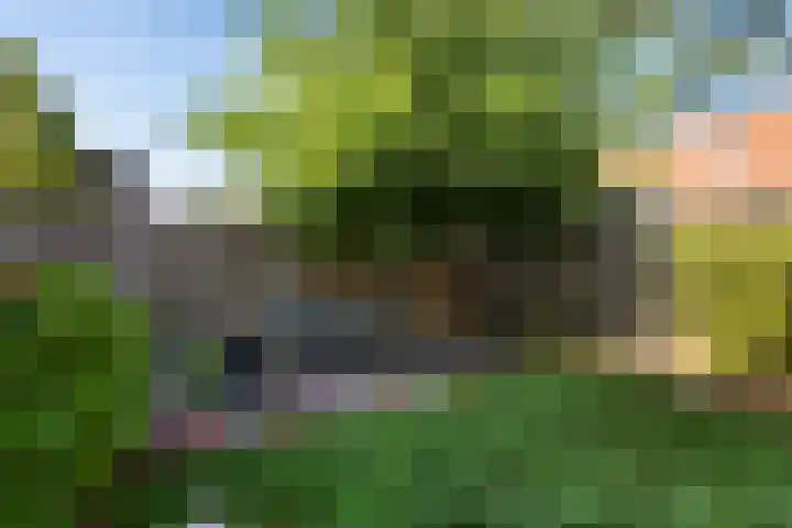 De Golle 14 Mantgum thumbnail 12