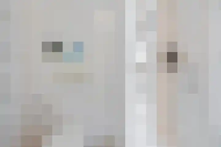 De Golle 14 Mantgum thumbnail 22